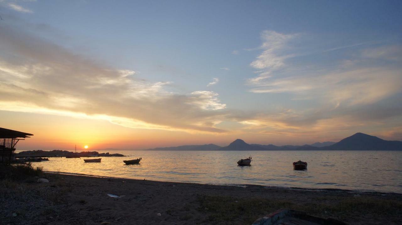 Patras Cozy Lodge Exteriér fotografie